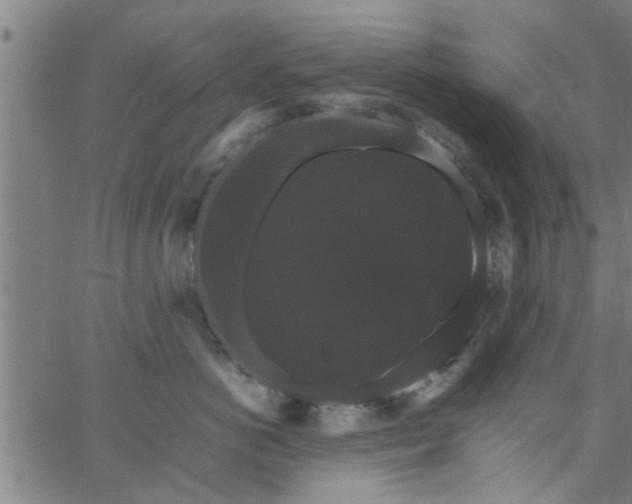 X0000066540766200603311845