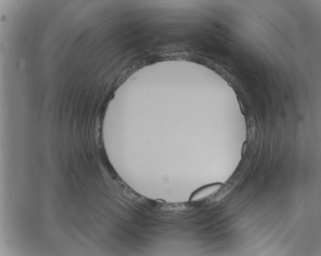 X0000066540767200603311845