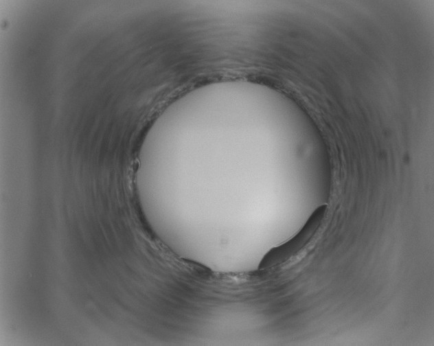 X0000066540768200603311845