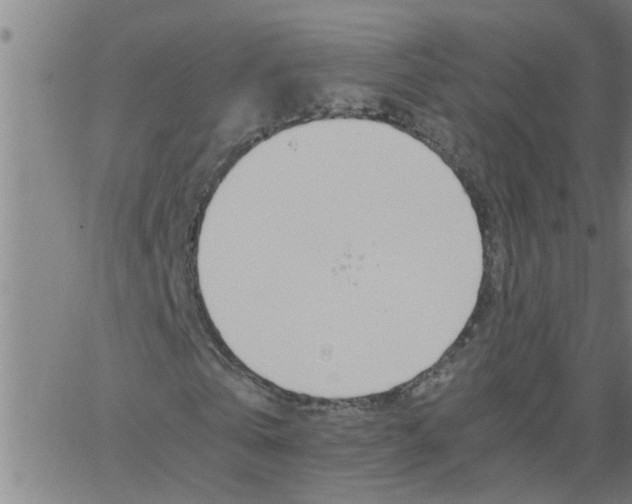 X0000066540769200603311844