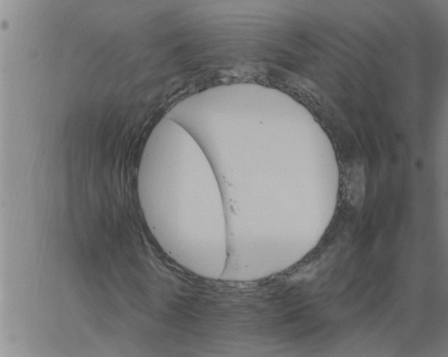 X0000066540770200603311844