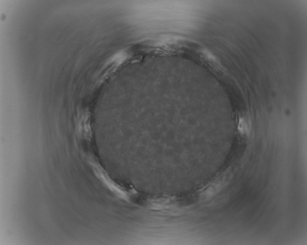 X0000066540771200603311844