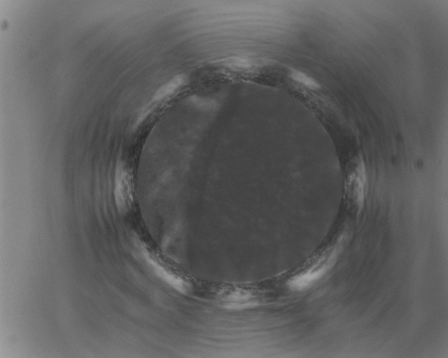 X0000066540772200603311844