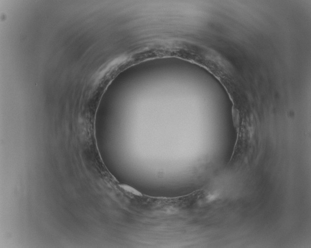 X0000066540773200603311844