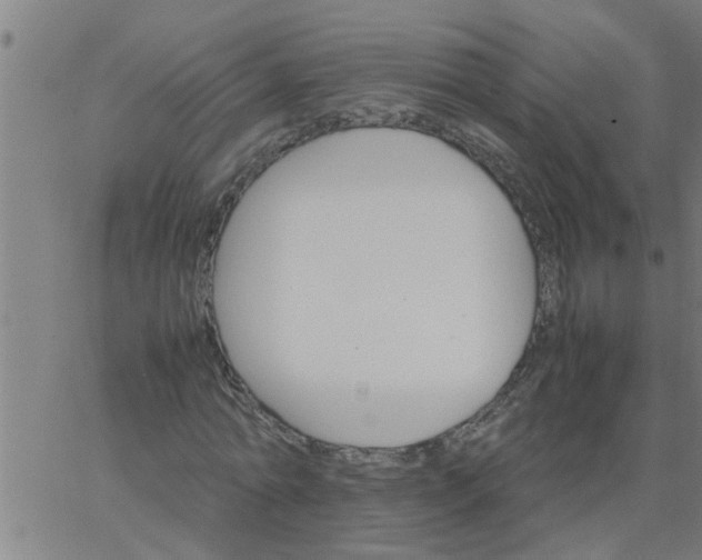 X0000066540774200603311844