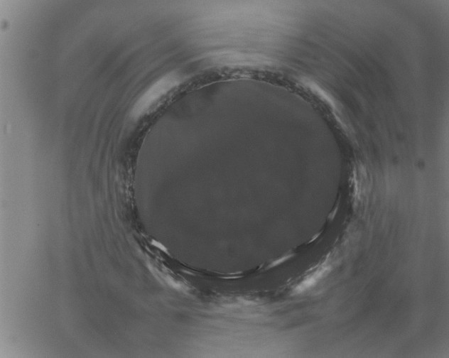 X0000066540775200603311844