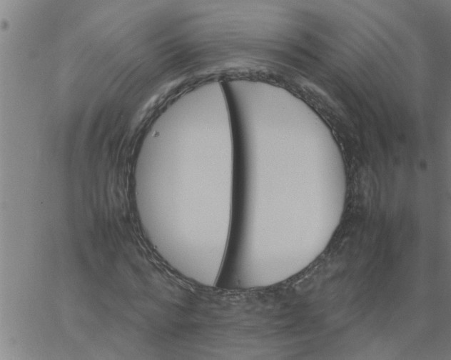 X0000066540776200603311844