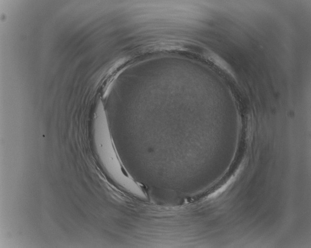 X0000066540777200603311844