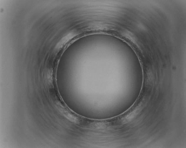 X0000066540778200603311844