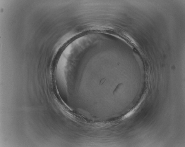 X0000066540779200603311844