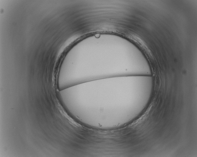 X0000066540780200603311844