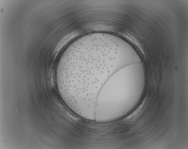 X0000066540782200603311844