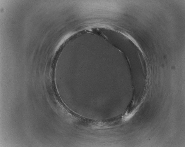 X0000066540783200603311844