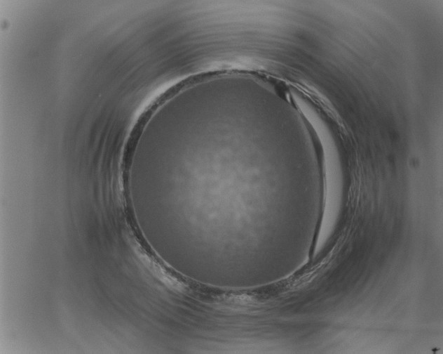 X0000066540784200603311844