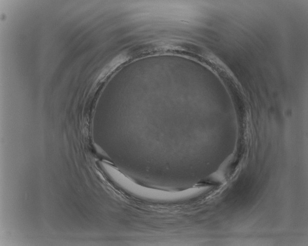 X0000066540785200603311844