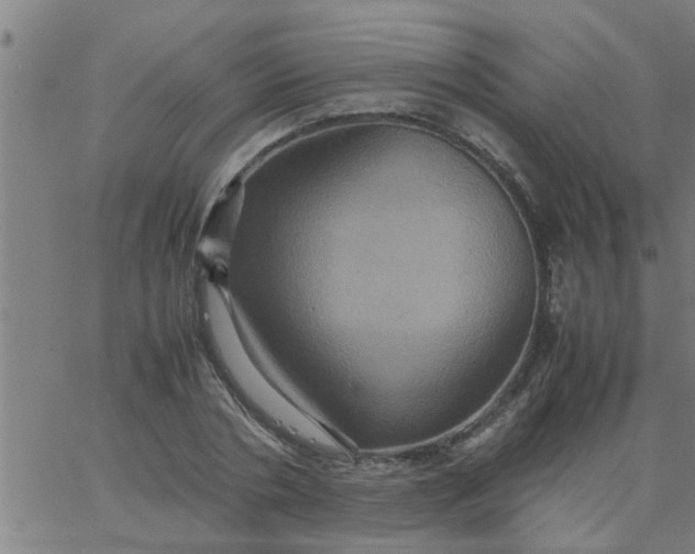 X0000066540786200603311844