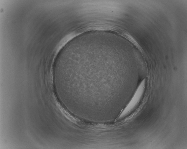 X0000066540787200603311844