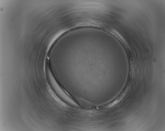 X0000066540788200603311844