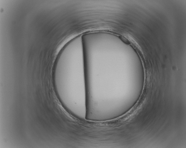 X0000066540789200603311844