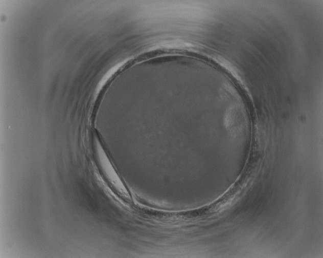 X0000066540791200603311844