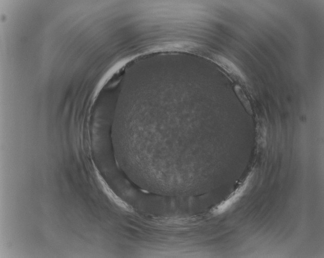 X0000066540792200603311844