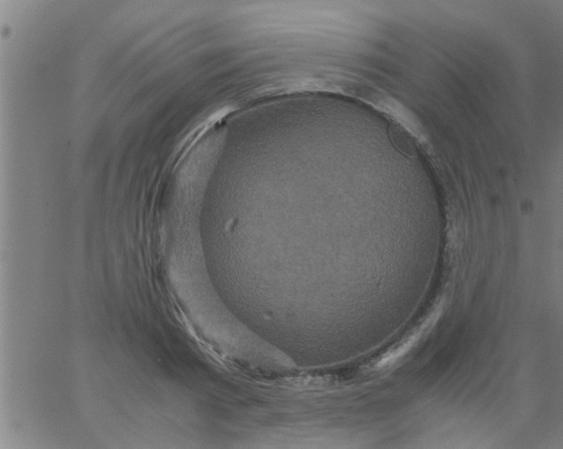 X0000066540793200603311844