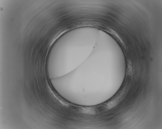 X0000066540794200603311844