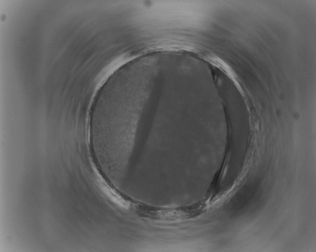 X0000066540795200603311844