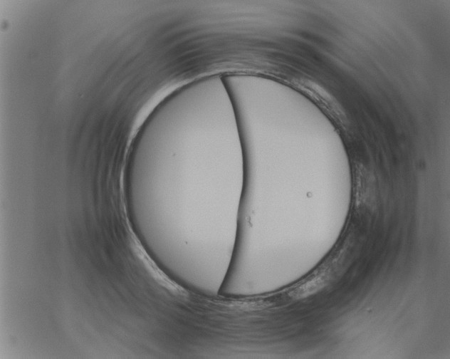 X0000066540796200603311844