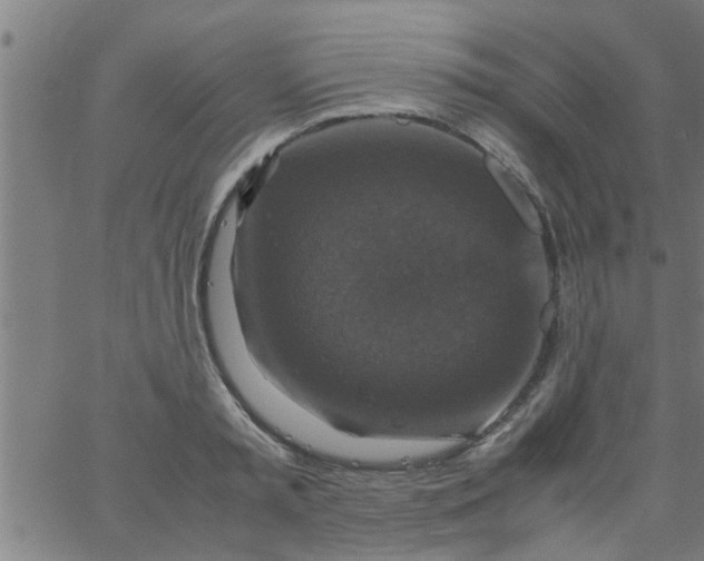 X0000066540797200603311844