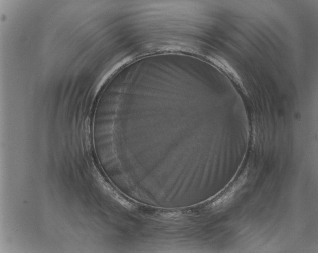 X0000066540798200603311844