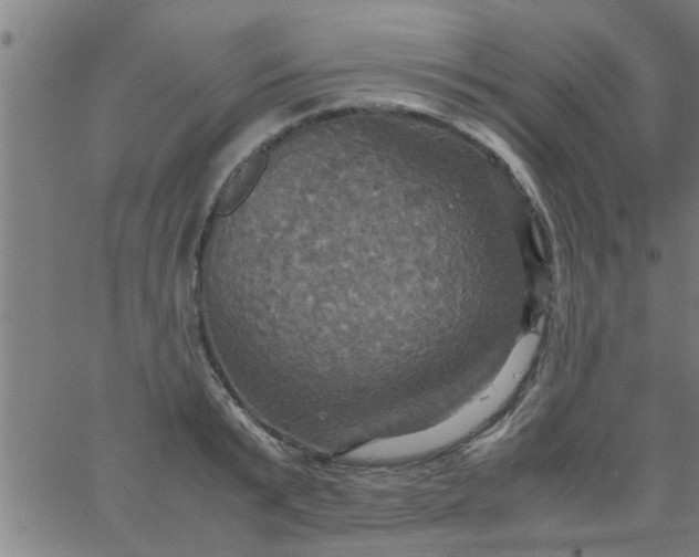 X0000066540799200603311844