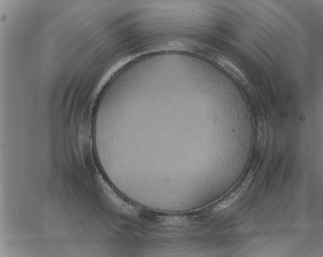 X0000066540800200603311844