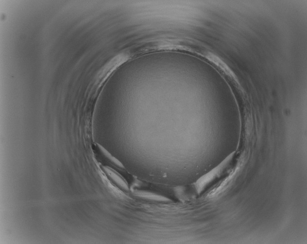 X0000066540801200603311843