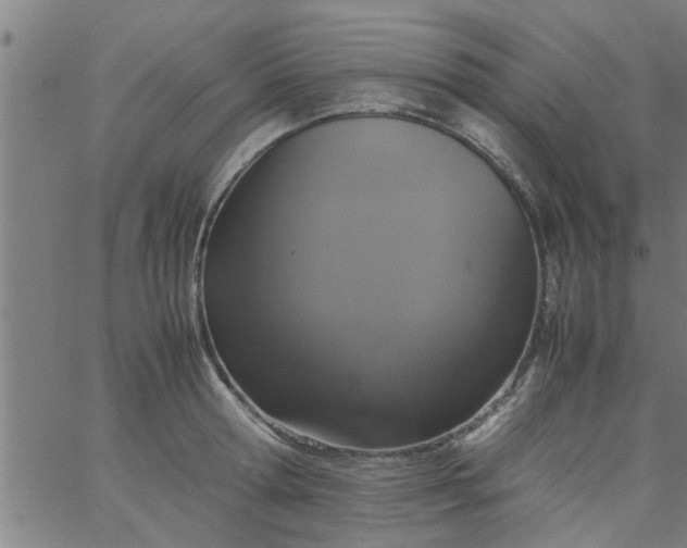 X0000066540802200603311843