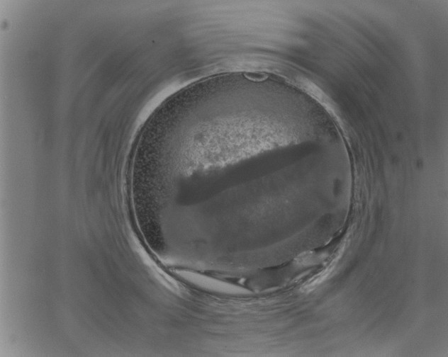 X0000066540803200603311843