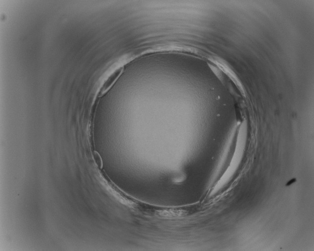 X0000066540805200603311843