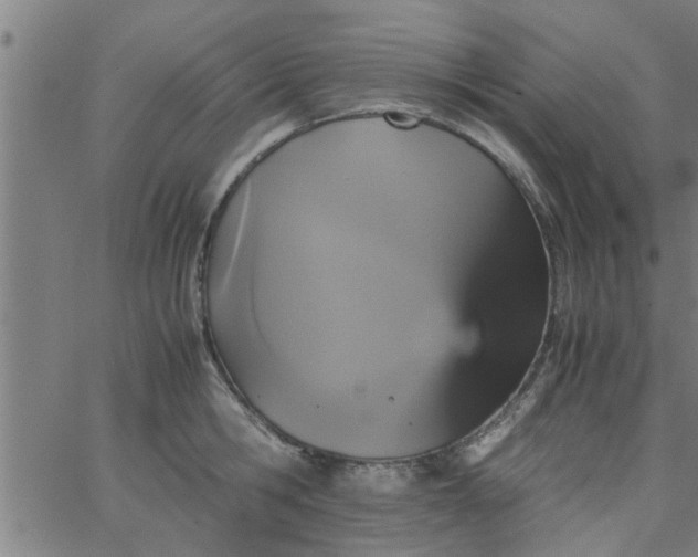 X0000066540806200603311843