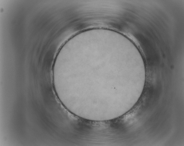 X0000066540807200603311843