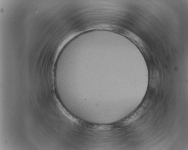 X0000066540808200603311843