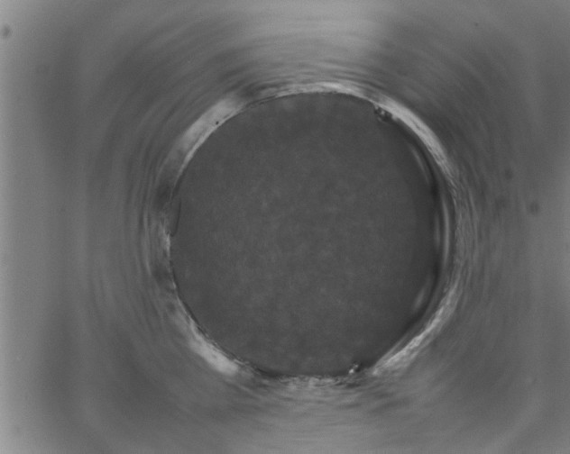 X0000066540809200603311843