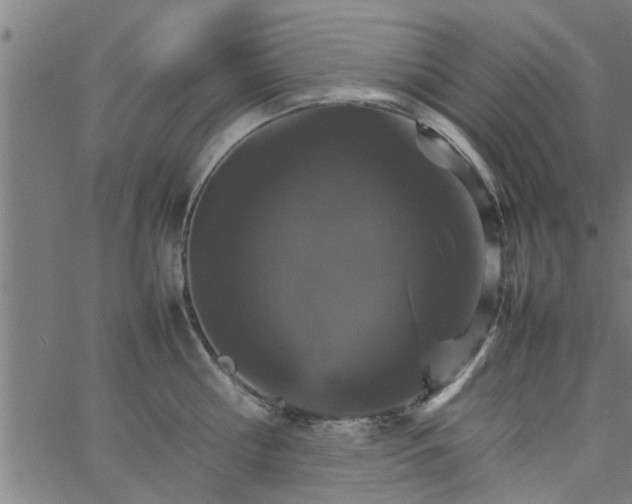 X0000066540810200603311843