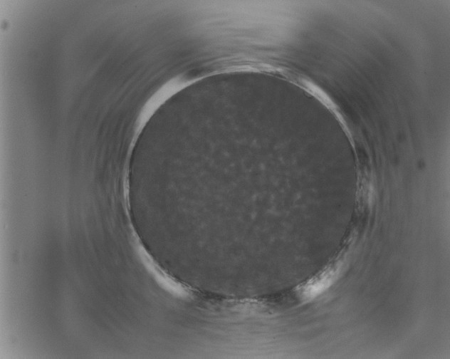 X0000066540811200603311843