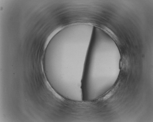 X0000066540812200603311843