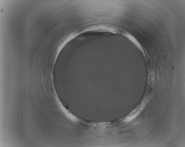 X0000066540813200603311843