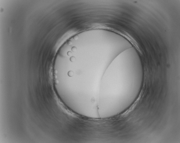 X0000066540814200603311843