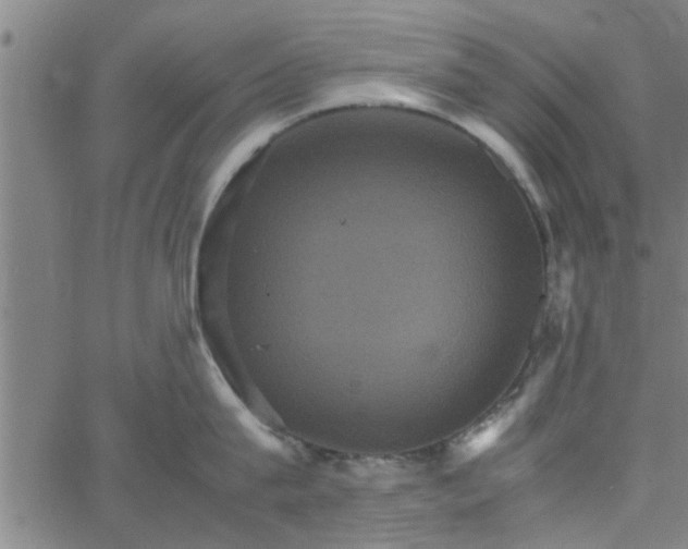 X0000066540815200603311843