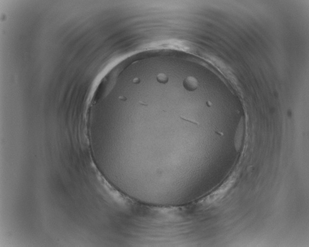 X0000066540816200603311843