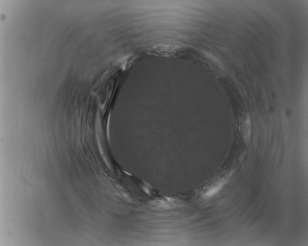 X0000066540818200603311842