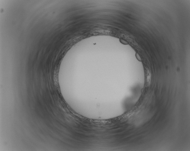 X0000066540819200603311843